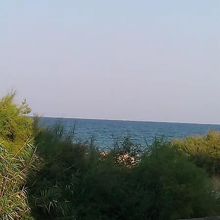 아파트 дарко 포마리